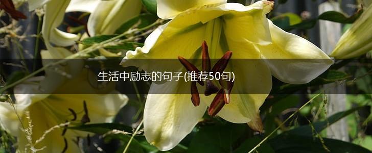 生活中励志的句子(推荐50句),第1张