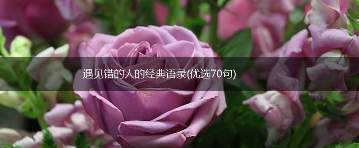 遇见错的人的经典语录(优选70句),第1张