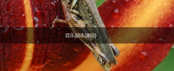 音乐励志(8句),第1张