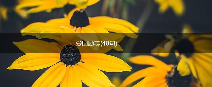 爱国励志(40句),第1张