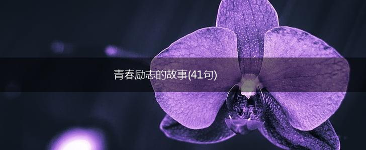 青春励志的故事(41句),第1张