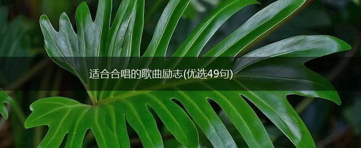 适合合唱的歌曲励志(优选49句),第1张