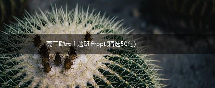 高三励志主题班会ppt(精选50句),第1张
