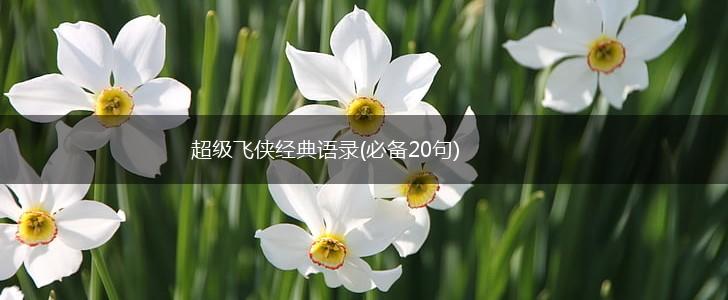 超级飞侠经典语录(必备20句),第1张