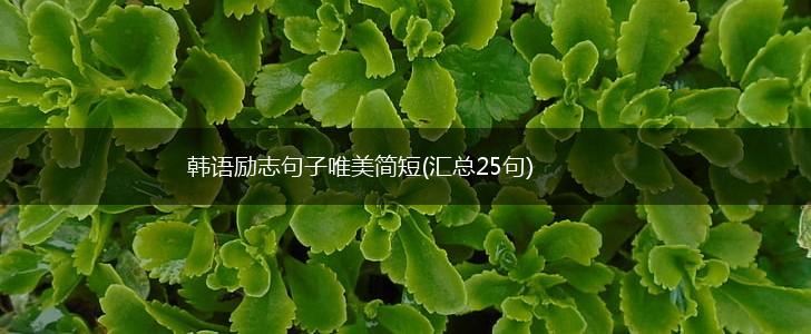 韩语励志句子唯美简短(汇总25句),第1张