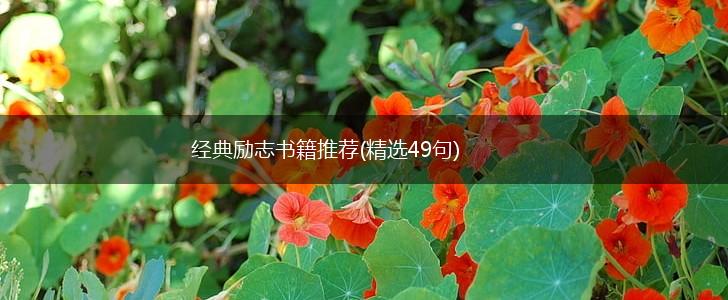 经典励志书籍推荐(精选49句),第1张 经典励志书籍推荐(精选49句),第1张