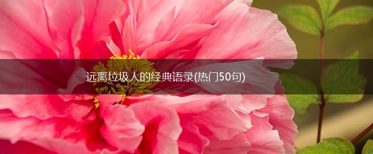 远离垃圾人的经典语录(热门50句),第1张