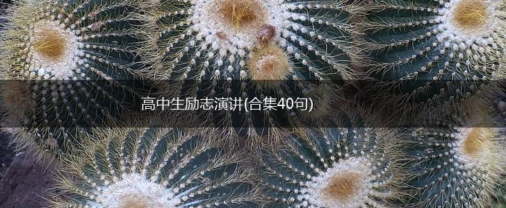 高中生励志演讲(合集40句),第1张