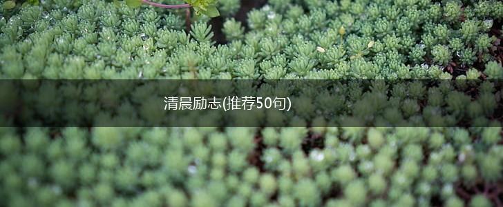 清晨励志(推荐50句),第1张