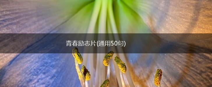 青春励志片(通用50句),第1张