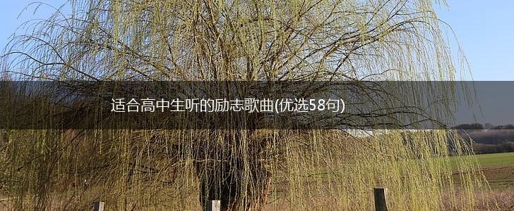 适合高中生听的励志歌曲(优选58句),第1张
