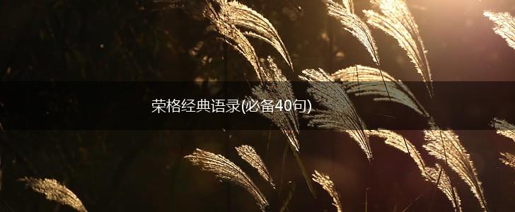 荣格经典语录(必备40句),第1张