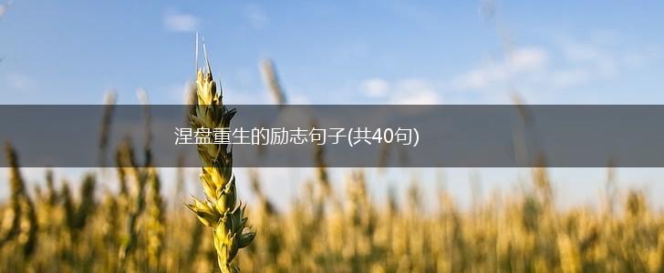 涅盘重生的励志句子(共40句),第1张