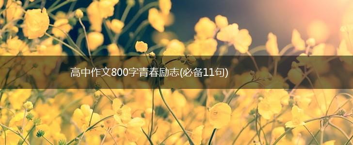 高中作文800字青春励志(必备11句),第1张