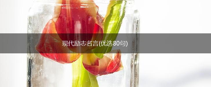 现代励志名言(优选80句),第1张