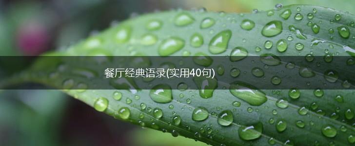 餐厅经典语录(实用40句),第1张