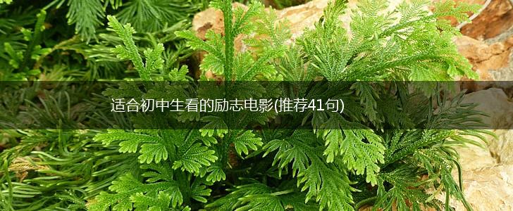 适合初中生看的励志电影(推荐41句),第1张