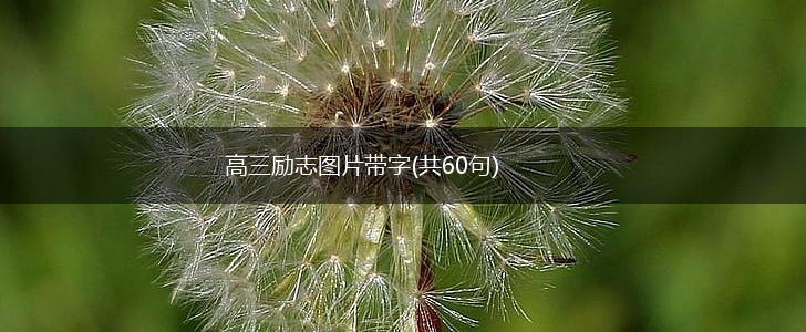 高三励志图片带字(共60句),第1张