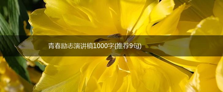 青春励志演讲稿1000字(推荐9句),第1张
