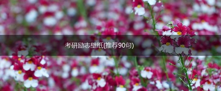 考研励志壁纸(推荐90句),第1张