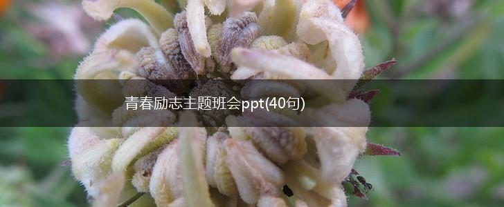青春励志主题班会ppt(40句),第1张
