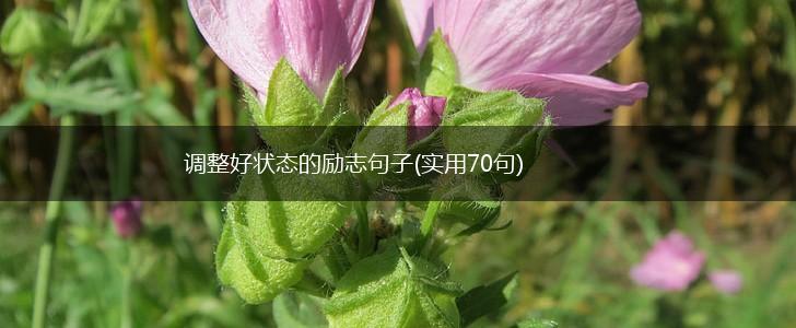 调整好状态的励志句子(实用70句),第1张