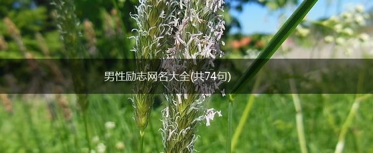 男性励志网名大全(共74句),第1张