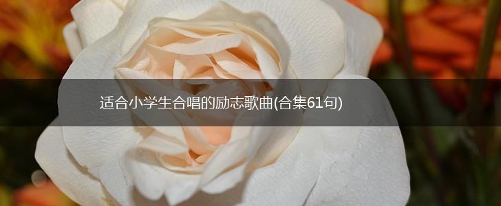 适合小学生合唱的励志歌曲(合集61句),第1张