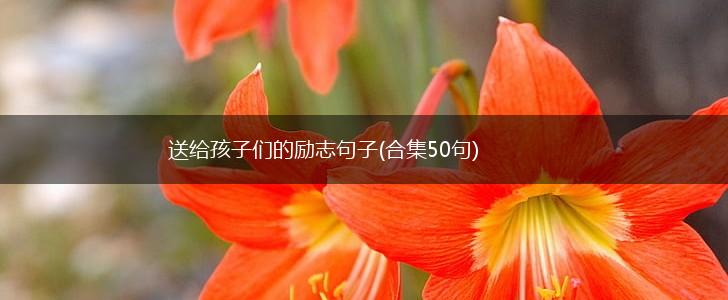 送给孩子们的励志句子(合集50句),第1张