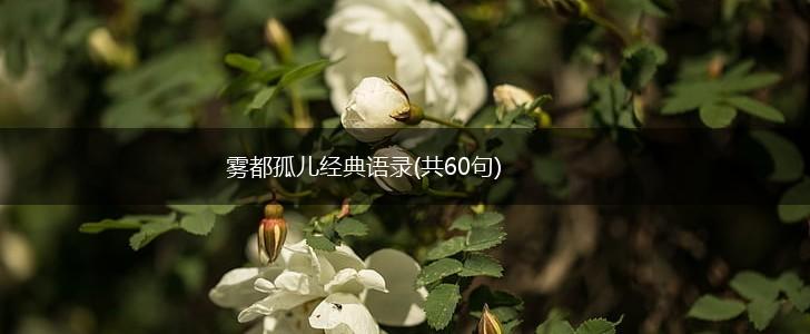 雾都孤儿经典语录(共60句),第1张