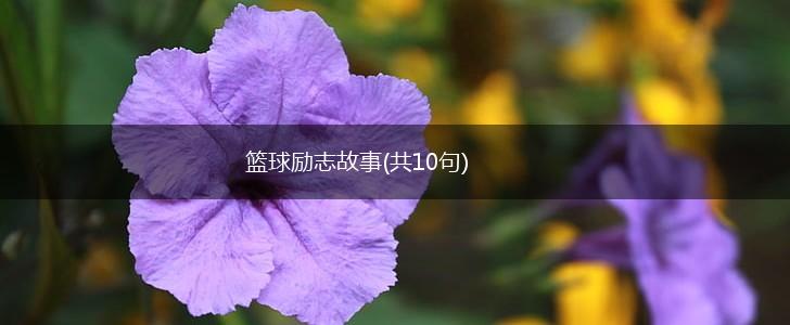 篮球励志故事(共10句),第1张