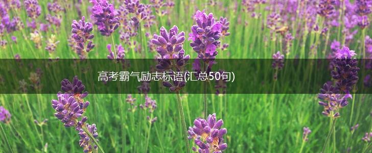 高考霸气励志标语(汇总50句),第1张