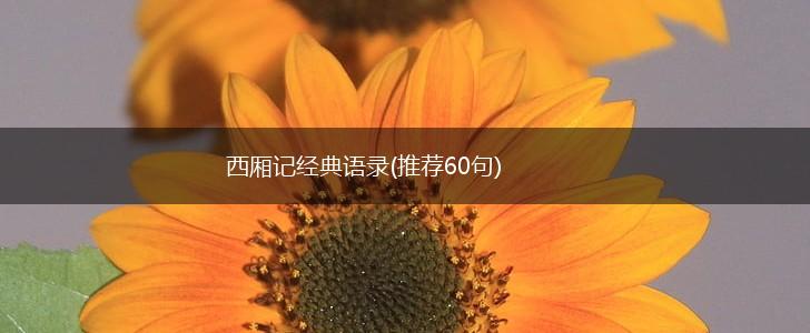 西厢记经典语录(推荐60句),第1张