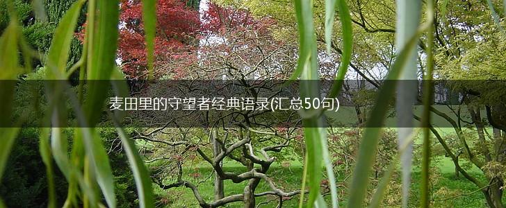 麦田里的守望者经典语录(汇总50句),第1张