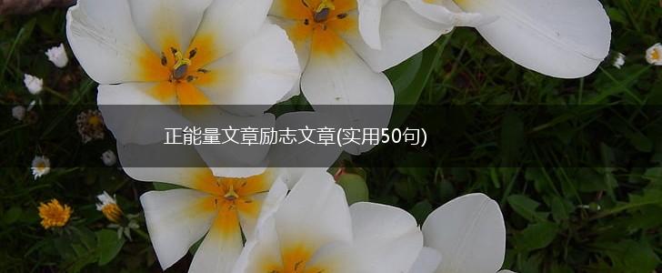 正能量文章励志文章(实用50句),第1张