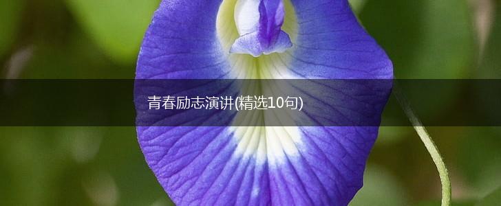 青春励志演讲(精选10句),第1张