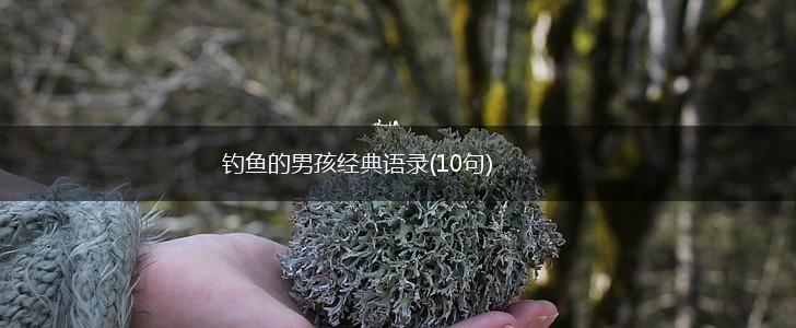 钓鱼的男孩经典语录(10句),第1张