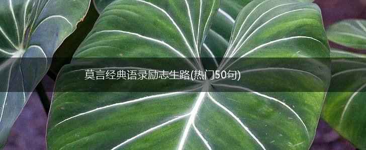 莫言经典语录励志生路(热门50句),第1张