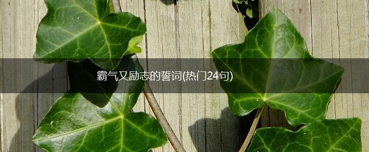 霸气又励志的誓词(热门24句),第1张