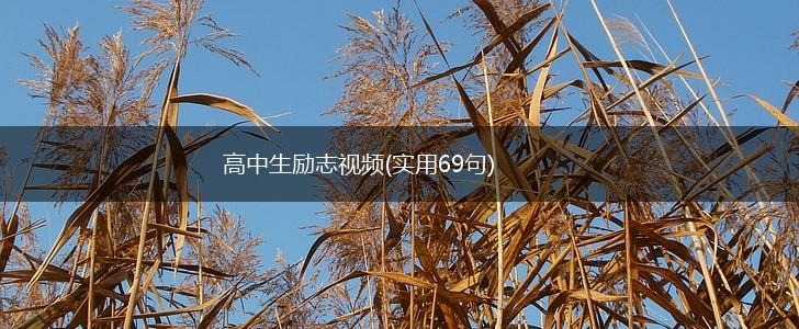 高中生励志视频(实用69句),第1张