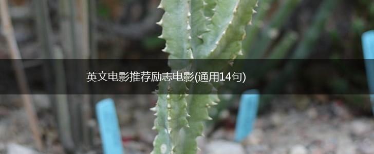 英文电影推荐励志电影(通用14句),第1张