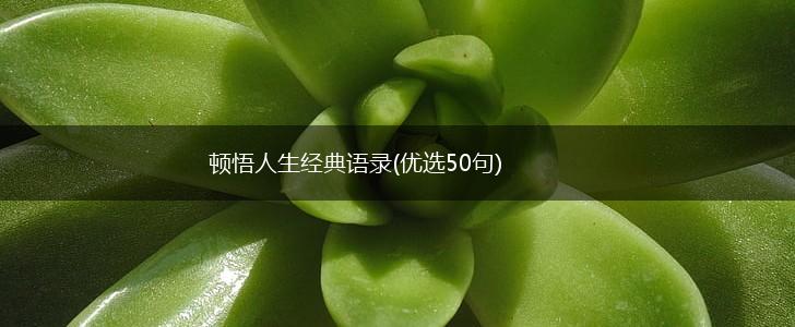 顿悟人生经典语录(优选50句),第1张 顿悟人生经典语录(优选50句),第1张