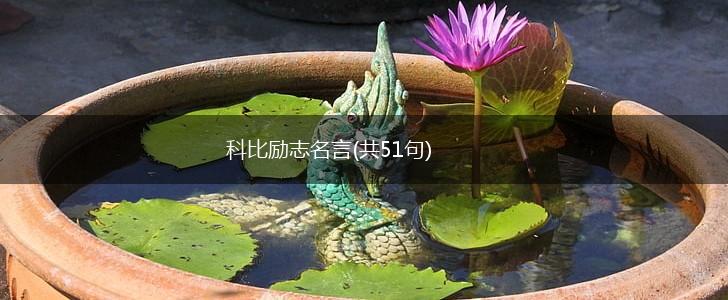 科比励志名言(共51句),第1张