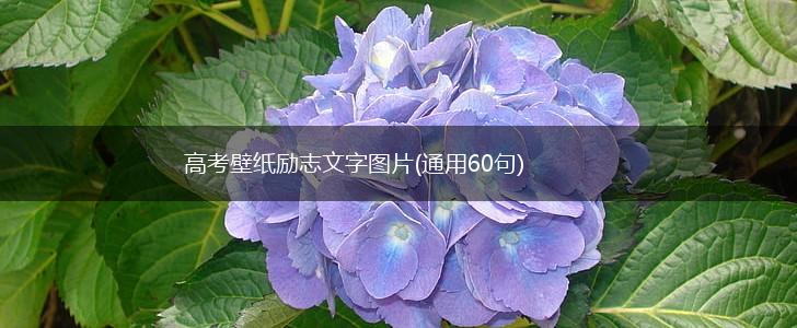 高考壁纸励志文字图片(通用60句),第1张