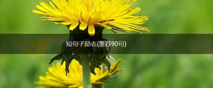 短句子励志(推荐90句),第1张