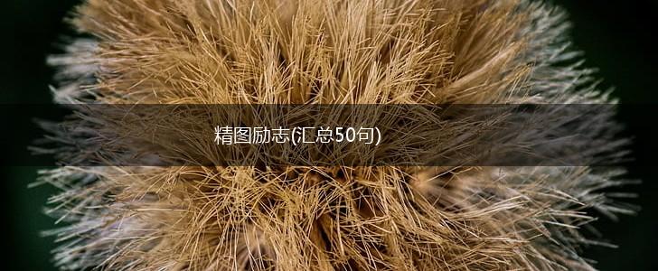 精图励志(汇总50句),第1张 精图励志(汇总50句),第1张