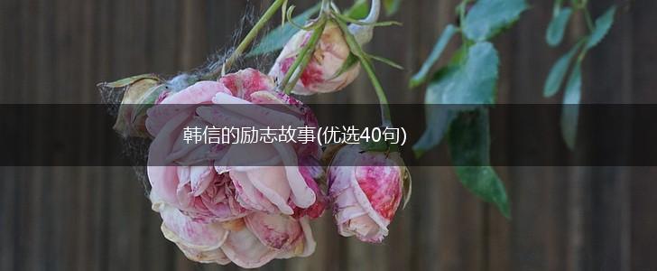 韩信的励志故事(优选40句),第1张