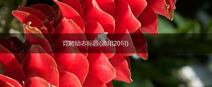 竞聘励志标题(通用20句),第1张 竞聘励志标题(通用20句),第1张