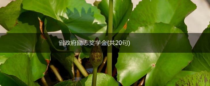 省政府励志奖学金(共20句),第1张 省政府励志奖学金(共20句),第1张