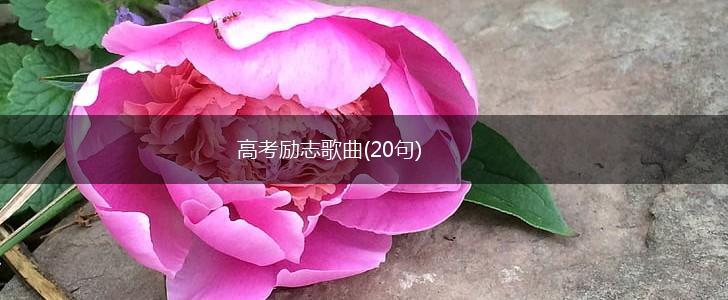 高考励志歌曲(20句),第1张